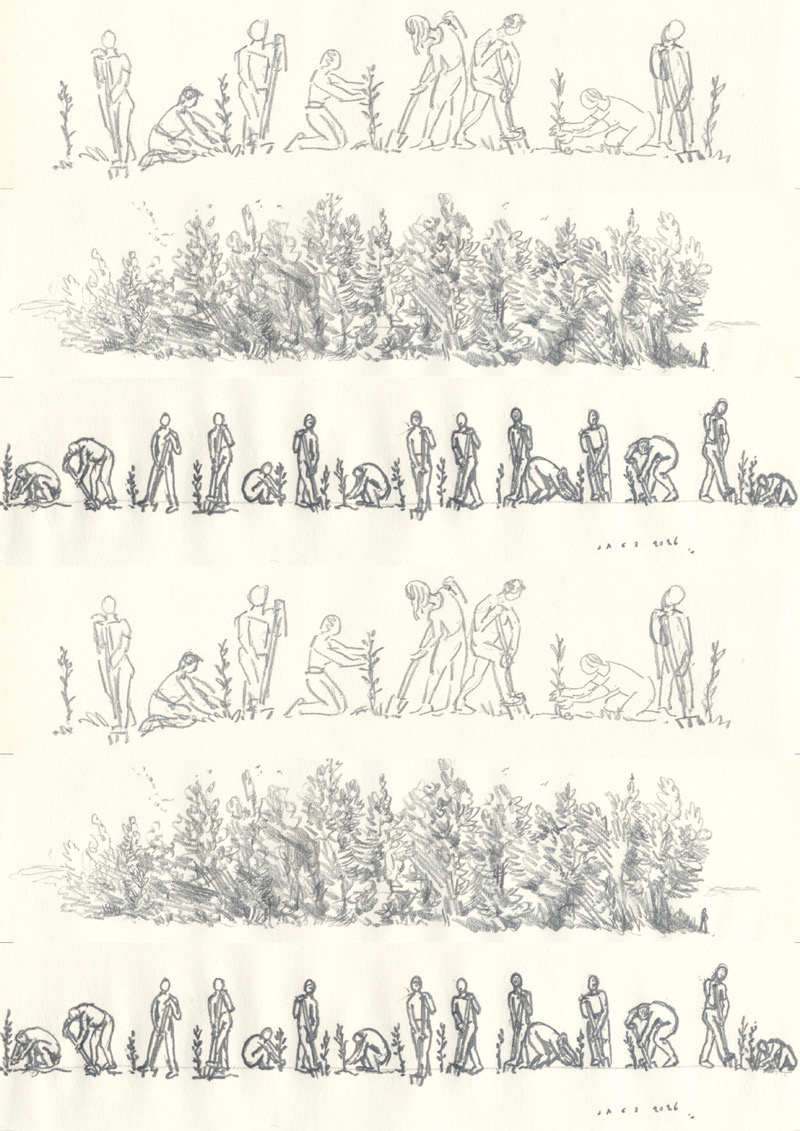 Les Haies - Les Jardiniers